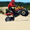 iride51506324